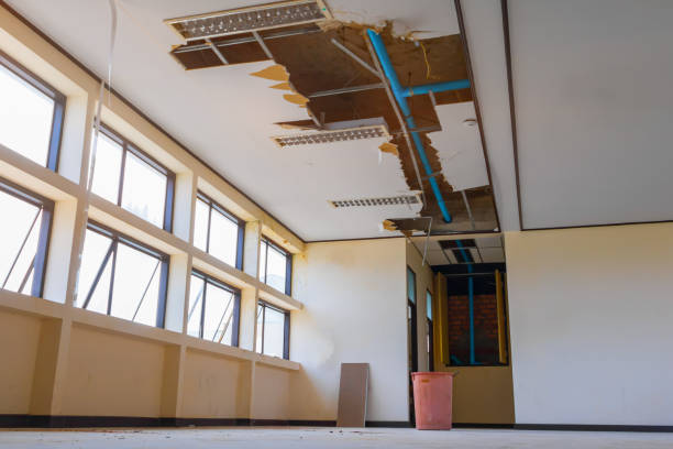 Best Mold removal after water damage  in Clear Lake, WI