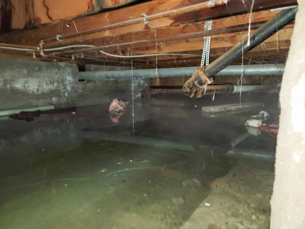Best 24/7 water damage repair  in Clear Lake, WI
