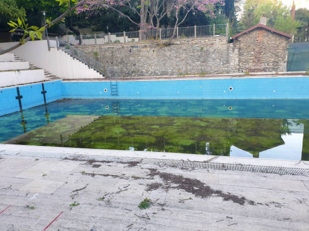 Best Flood restoration services  in Clear Lake, WI