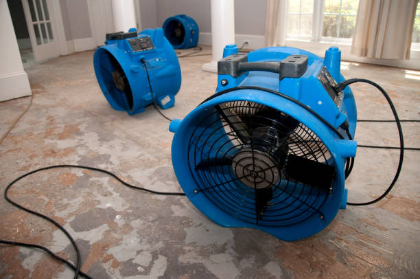 Best Water damage restoration near me  in Clear Lake, WI
