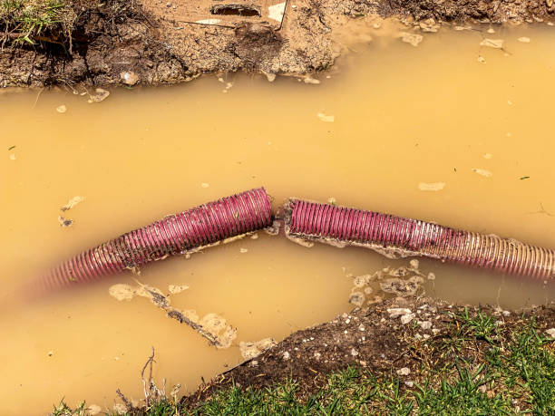 Best Flood damage cleanup  in Clear Lake, WI