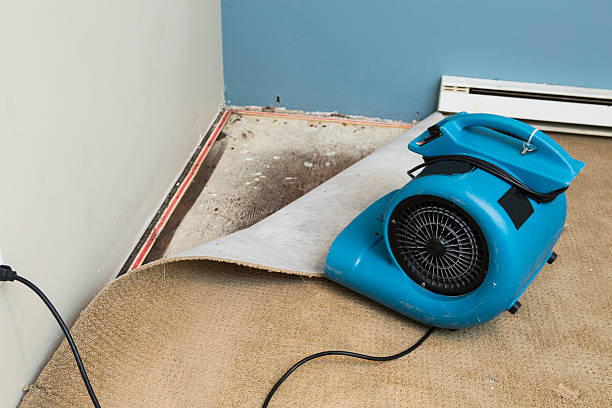 Best Commercial water damage restoration  in Clear Lake, WI
